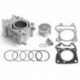 Kit Airsal Big Bore 150cc PCX / SH 125 02048558 Ø58mm