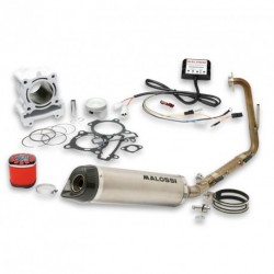 KIT Especial Malossi Cup Yamaha YZF-R125 2010- 4914352