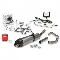 KIT Especial Malossi Cup Yamaha YZF-R125  -2010 4916676