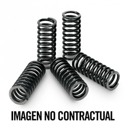 Kit de Muelles de Embrague Varios