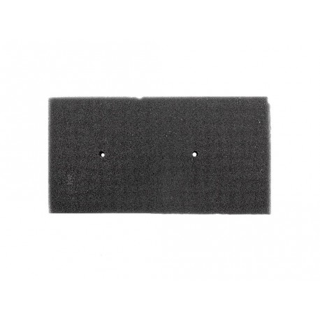 Filtro aire 49202BP0Y000