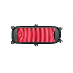 Filtro aire People S 250/300