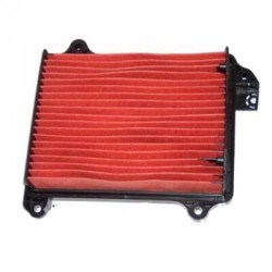 Filt. Aire Hiflofiltro HFA1209
