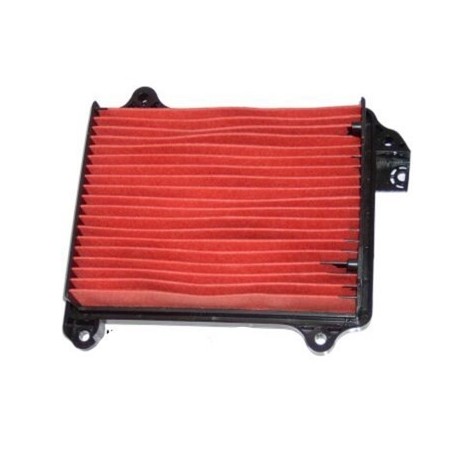 Filt. Aire Hiflofiltro HFA1209