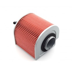 Filt. Aire Hiflofiltro HFA1212