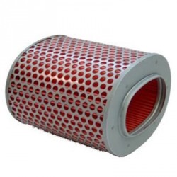 Filt. Aire Hiflofiltro HFA1502