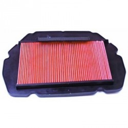 Filt. Aire Hiflofiltro HFA1606
