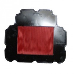 Filt. Aire Hiflofiltro HFA1609