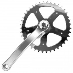 Plato y biela Singlespeed