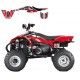 Kit Adhesivos Blackbird Dream Polaris 2Q11A