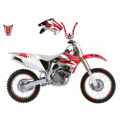 Kit Adhesivos Blackbird Dream Honda 2137E