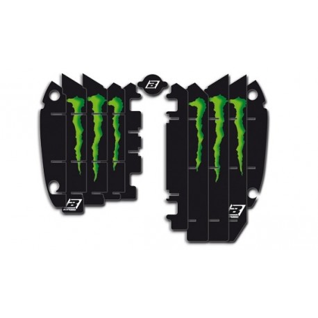 Adhesivos para rejillas de radiador Blackbird Réplica Kawasaki Monster A402R6
