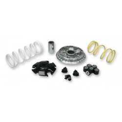 Variador Multivar Malossi HONDA FORZA/SH 125 13- 5115652