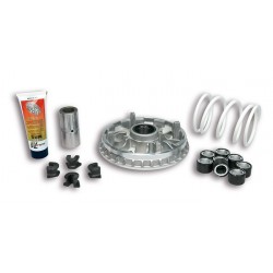 Variador Multivar Malossi PIAG. X10 350 PIAG.BEVERLY SP TOURING 5115308