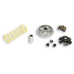 Variador Multivar Malossi SYM GTS/SYMPHONY 125 PGT TWEET 125 5114273