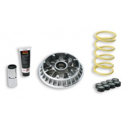 Variador Multivar Malossi SUZ. BURGMAN 400 07-09 5114263