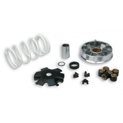 Variador Multivar Malossi KYMCO 4T AGILITY SYM ORBIT/SYMPLY 50 4T 5113790