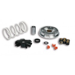 Variador Multivar Malossi Yamaha GIGGLE/NEOS 4T 5113603