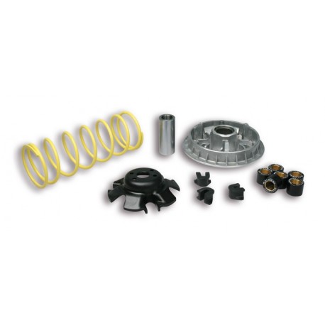 Variador Multivar Malossi KYMCO XCITING 250-300 PEOPLE 5111838