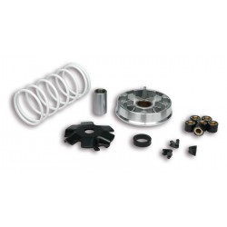 Variador Multivar Malossi KYMCO 2T AGILITY/DINK/SUPER8-9 51 9988