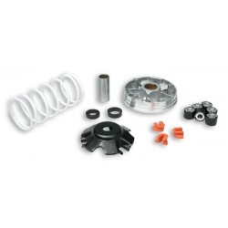 Variador Multivar Malossi PIAGGIO 50CC 2T&4T ZIP/FLY/LIBERTY 50 4T 51 9019
