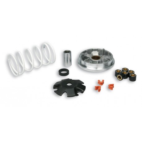 Variador Multivar Malossi PGT. LUDIX/JETFORCE SPEEDFIGHT/VIVACITY/BUXY 51 8752