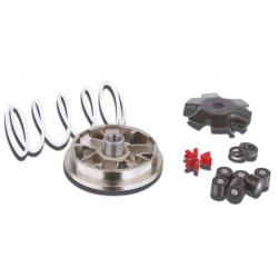Variador Multivar Malossi PIAGGIO 50CC NRG/ZIP2T/MC2/MC3 51 7382