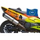 Escape homologado Malossi Maxi Wild Lion T-MAX 500 08-11 3214130