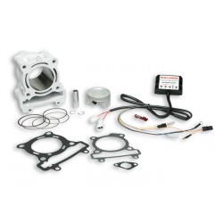KIT Malossi YAM X-MAX 180 HT-Motor YAM X-MAX 180 06-14 3114443