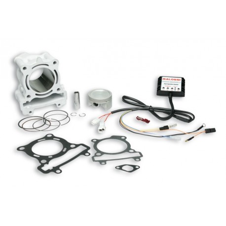 KIT Malossi YAM X-MAX 180 HT-Motor YAM X-MAX 180 06-14 3114443