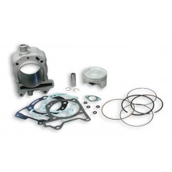 KIT Malossi PIAG.180 X9/X8/X7/MP3 180 GILERA NEXUS 180 3113955
