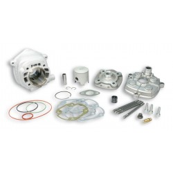 KIT Malossi Ø47,6 all.H2O 7 transfers MHR TEAM culatín desmontable 3112642