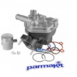 Grupo De Motor Parmakit Peugeot Speedfight