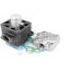 Grupo De Motor Parmakit Suzuki Rmx/Ts/Tv D.41
