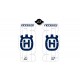 Adhesivos para rejillas de radiador Blackbird réplica Husqvarna Ricci Racing 2015 A601R