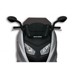 Pantalla Malossi Ahumada SPORT BMW C600 4515571B