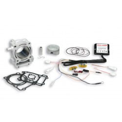 Cilindro completo Malossi Honda CBR125R ie 4T LC Ø67 alum. bul.Ø13 3116038