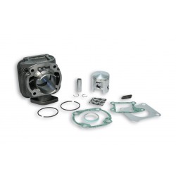 Kit Malossi 31 8091 Kymco Mxer Ø47 Cilindro hierro