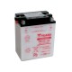 Batería Yuasa YB14-A2 Dry charged (sin electrolito)