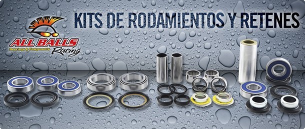 Kit de rodamientos y retenes